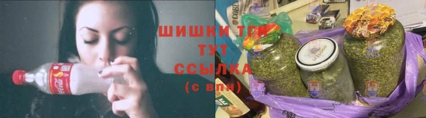 apvp Белокуриха
