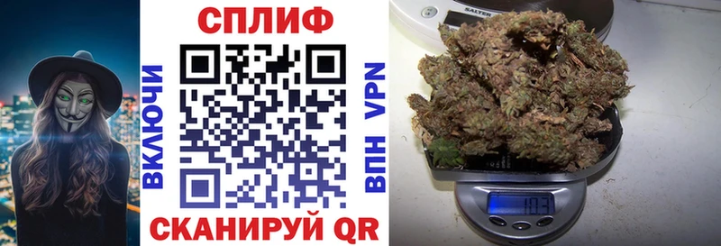 omg вход  Светогорск  Шишки марихуана конопля  даркнет сайт 